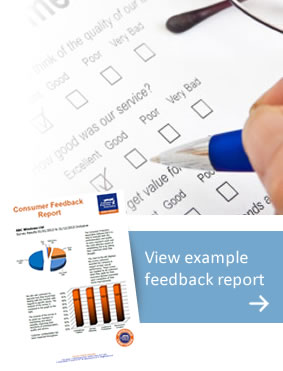 A small image of example consumer report
