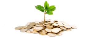 Green plant shoot emerging from money representing the Green Deal